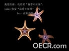 u=3637968002,720719003&amp;fm=0&amp;gp=-36.jpg