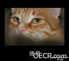 u=1904469254,1788687356&amp;fm=0&amp;gp=46.jpg