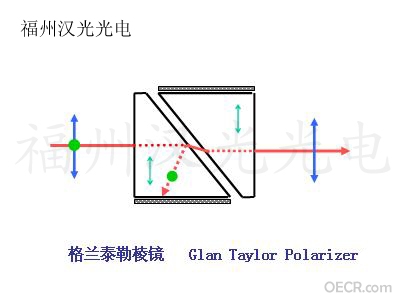 格兰泰勒 拷贝.jpg