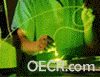 image110.gif