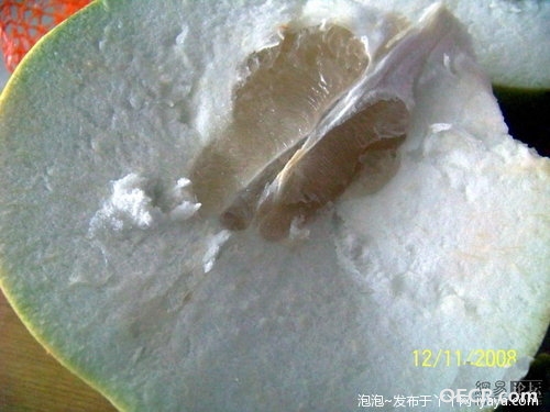 222939-60.jpg